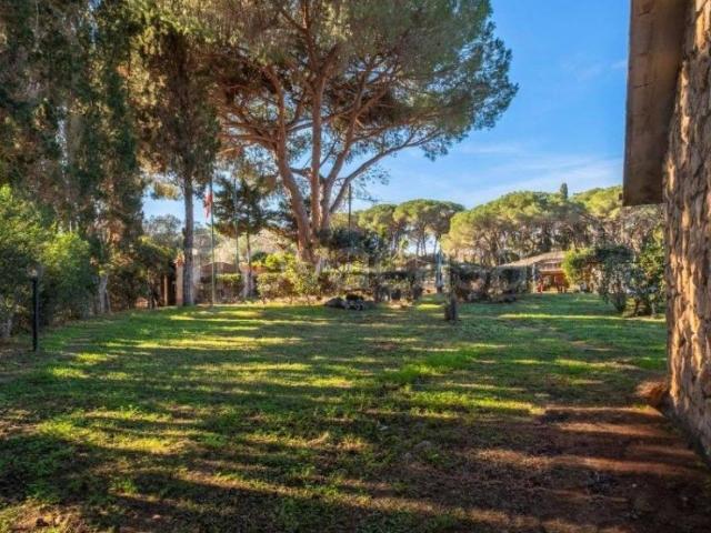 Appartamento in in affitto da privato a Orbetello strada Comunale Ansedonia, giardino privato, posto auto, da privato TrovaCasa