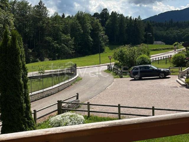 Appartamento in in affitto da privato a Lavarone frazione Lanzino, 17, arredato, da privato, cantina TrovaCasa