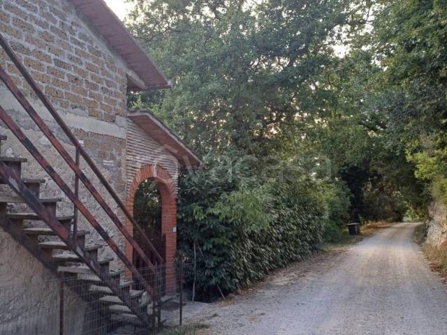 Appartamento in in affitto da privato a Lugnano in Teverina strada della Ripa, 46/a, arredato, giardino, posto auto TrovaCasa