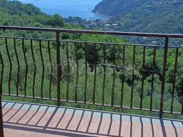 Appartamento in in affitto da privato a Moneglia strada Provinciale di Moneglia, 29, giardino, posto auto, da privato TrovaCasa