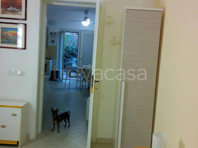 Appartamento in in affitto da privato a Montepaone via Francesco Cilea, snc, da privato, lavatrice, zanzariere TrovaCasa