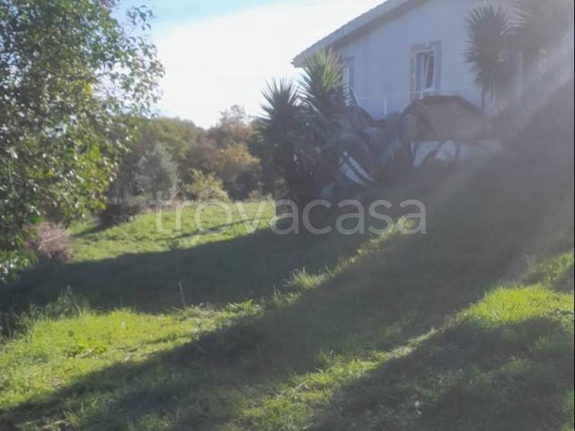 Appartamento in in affitto da privato a Monterosi via Salvatore Baldelli, 19/a, giardino, da privato, riscaldamento autonomo TrovaCasa