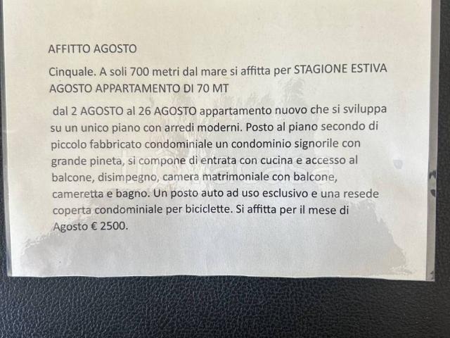 Appartamento in in affitto da privato a Montignoso via Fratelli Baldini, 3, arredato, giardino, posto auto TrovaCasa
