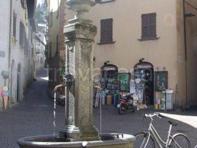 Appartamento in in affitto da privato a Morbegno via San Marco, 2, arredato, da privato, riscaldamento autonomo TrovaCasa