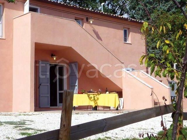 Appartamento in in affitto da privato a Morro d'Alba contrada Fosso Roberti, 4, da privato, vista panoramica, piscina TrovaCasa