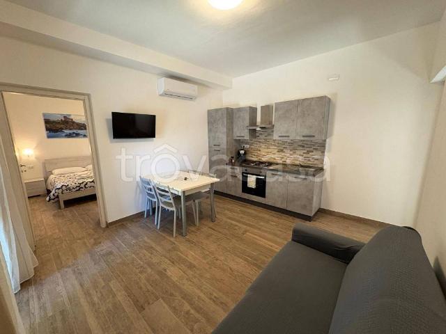 Appartamento in in affitto da privato a Manciano strada Regionale Maremmana, 250, giardino, da privato, ingresso indipendente TrovaCasa