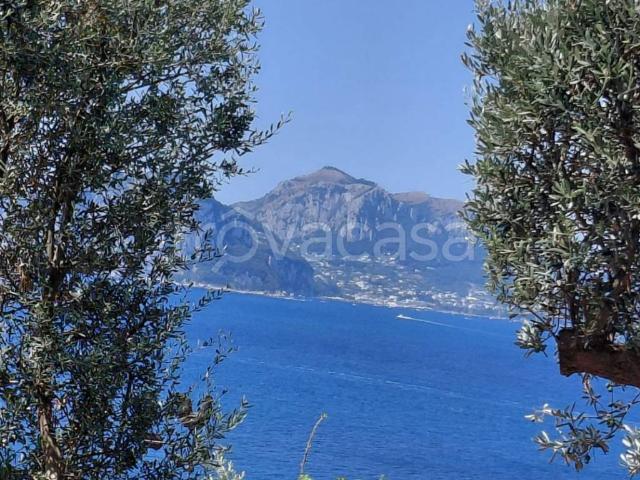 Appartamento in in affitto da privato a Massa Lubrense via Baccoli, 22, posto auto, da privato, panoramica TrovaCasa