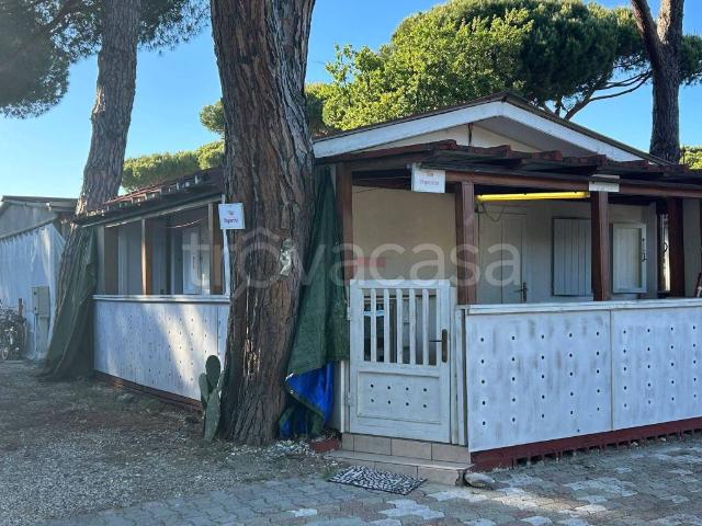 Appartamento in in affitto da privato a Massa Marittima via Massetana Nord, posto auto, da privato, piscina TrovaCasa