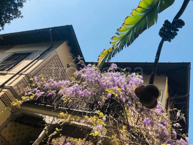 Appartamento in in affitto da privato a Milano via Timavo, 27, arredato, giardino privato, da privato TrovaCasa