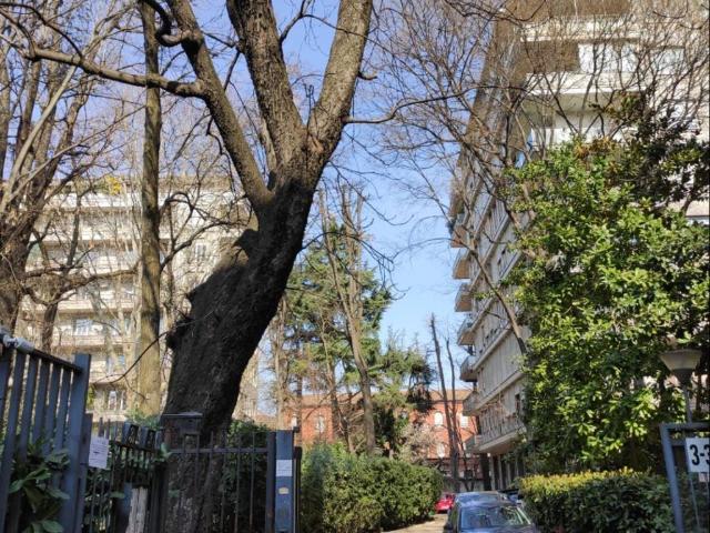 Appartamento in in affitto da privato a Milano via Alfonso La Marmora, 3, arredato, da privato, buono stato TrovaCasa