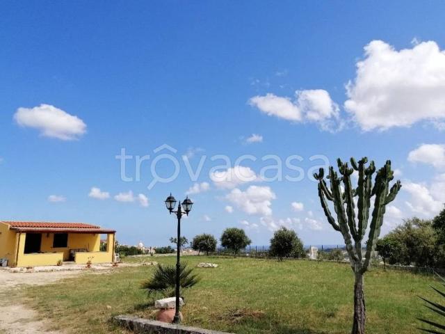 Appartamento in in affitto da privato a Noto contrada Fiumara, giardino, da privato, vista panoramica TrovaCasa