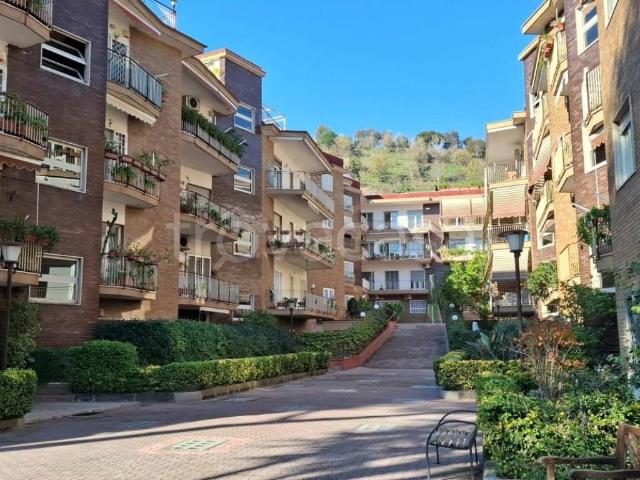 Appartamento in in affitto da privato a Napoli via Terracina, 345, da privato, immobile di prestigio, ascensore TrovaCasa