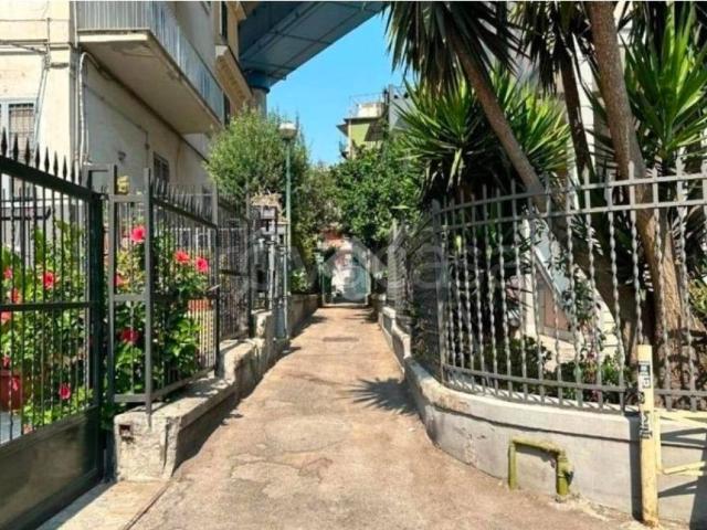 Appartamento in in affitto da privato a Napoli via Carlo De Marco, 47, arredato, giardino, da privato TrovaCasa