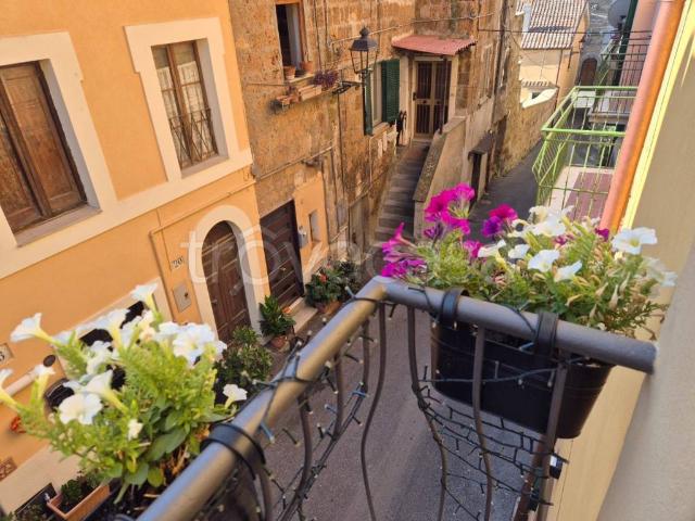 Appartamento in in affitto da privato a Nepi via Camillo Benso di Cavour, 31, da privato, caminetto, centrale TrovaCasa