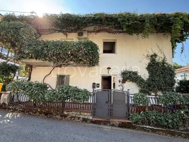 Appartamento in in affitto da privato a Soveria Mannelli via Campi di Lino, 7, da privato, vicinanze negozi, luminoso TrovaCasa