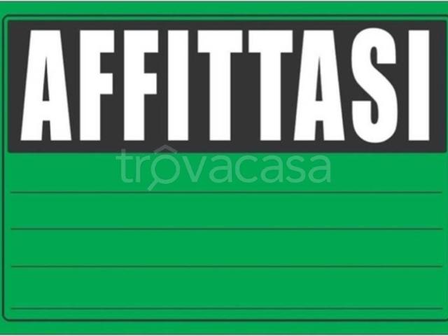 Appartamento in in affitto da privato a Salsomaggiore Terme località Salsomaggiore, 00, da privato, cantina, angolo cottura TrovaCasa