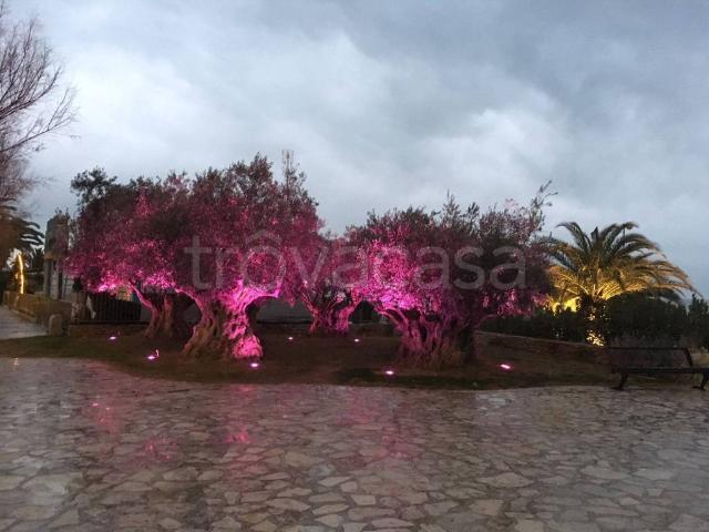 Appartamento in in affitto da privato a San Benedetto del Tronto viale Rinascimento, 129, da privato, lungomare, lavatrice TrovaCasa