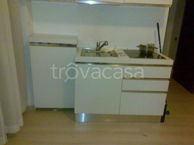 Appartamento in in affitto da privato a San Donato Milanese via John Fitzgerald Kennedy, 34, giardino, terrazzo, da privato TrovaCasa