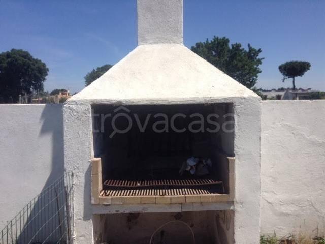 Appartamento in in affitto da privato a San Felice Circeo via del Fringuello, 31, giardino, da privato, posto auto coperto TrovaCasa