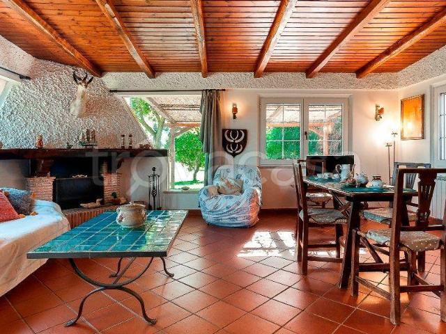 Appartamento in in affitto da privato a San Felice Circeo via Giacomo Leopardi, 54, da privato, aria condizionata, piscina TrovaCasa