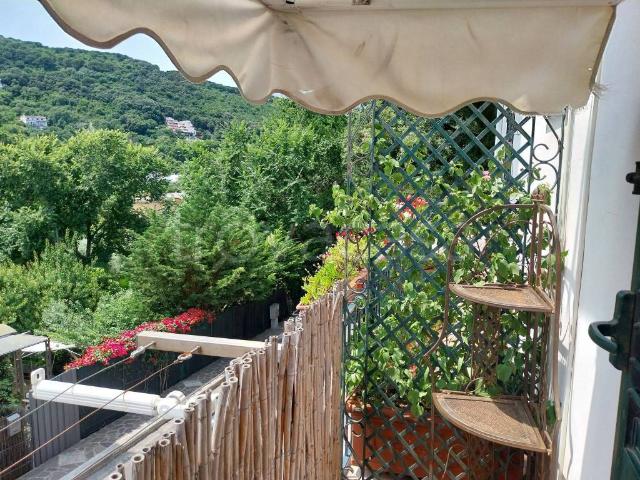 Appartamento in in affitto da privato a San Felice Circeo via Roma, 126, da privato, balcone, angolo cottura TrovaCasa
