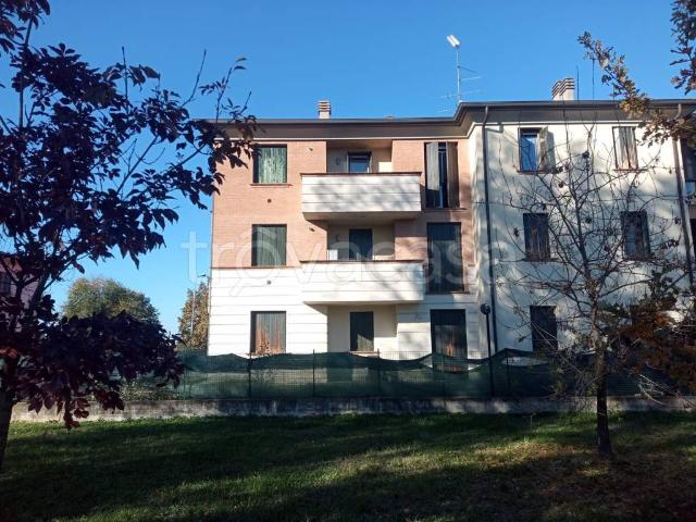 Appartamento in in affitto da privato a San Felice sul Panaro via Furlana, 245, box, da privato, ascensore TrovaCasa