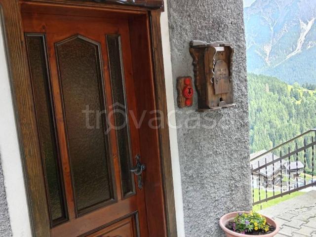 Appartamento in in affitto da privato a San Pietro di Cadore strada Provinciale di San Pietro di Cadore, arredato, da privato, panoramica TrovaCasa