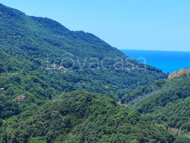 Appartamento in in affitto da privato a Sangineto via San Vincenzo, 16, da privato, balcone, cucina abitabile TrovaCasa