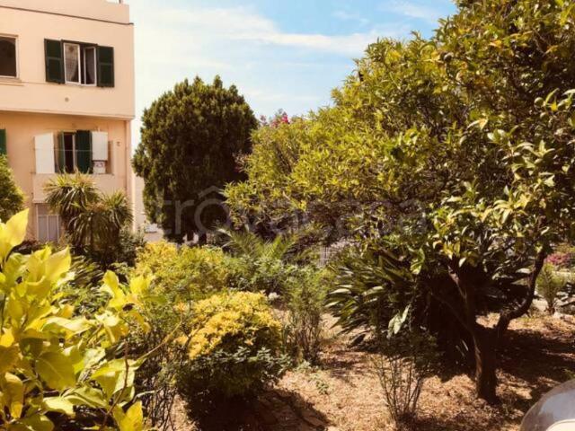 Appartamento in in affitto da privato a Sanremo via Padre Semeria, 92, box, da privato, vista mare TrovaCasa