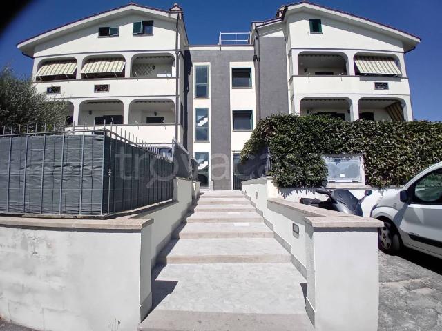 Appartamento in in affitto da privato a Santa Marinella via dei Fiori, 49A, giardino, da privato, riscaldamento autonomo TrovaCasa