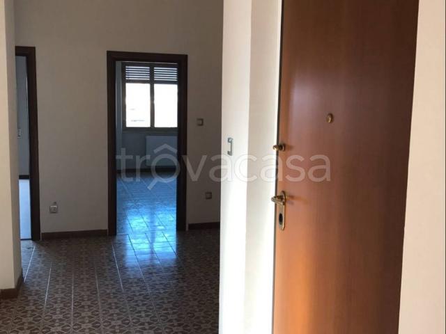 Appartamento in in affitto da privato a Santa Maria Capua Vetere via Raffaele Uccella, 20, da privato, centrale, luminoso TrovaCasa