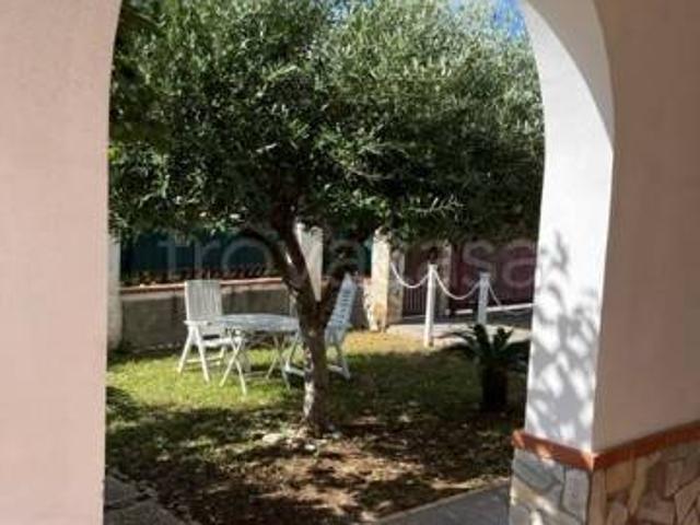 Appartamento in in affitto da privato a Santa Maria del Cedro via delle Rose, 54, giardino privato, posto auto, da privato TrovaCasa