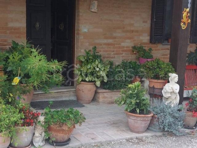 Appartamento in in affitto da privato a Sarnano via del Colle, 6, giardino, da privato TrovaCasa