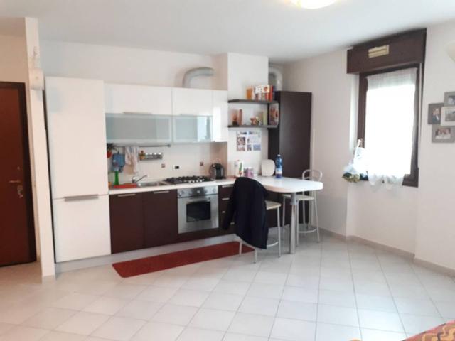 Appartamento in in affitto da privato a Segrate via Abruzzi, 60, da privato, cantina, angolo cottura TrovaCasa