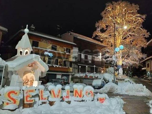 Appartamento in in affitto da privato a Selvino via Monte Pasubio, 1, box, da privato, luminoso TrovaCasa