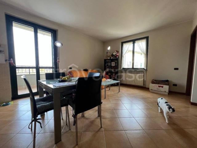 Appartamento in in affitto da privato a Pozzo d'Adda via Martin Luther King, box, da privato, ascensore TrovaCasa