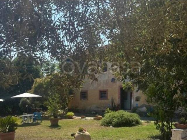 Appartamento in in affitto da privato a Pomezia via Campo Selva, 7, giardino, da privato TrovaCasa