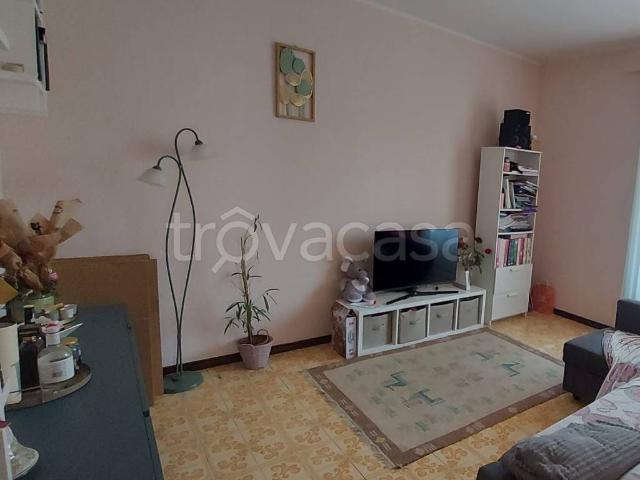 Appartamento in in affitto da privato a Pavia via dei Mille, 125, giardino, box, da privato TrovaCasa