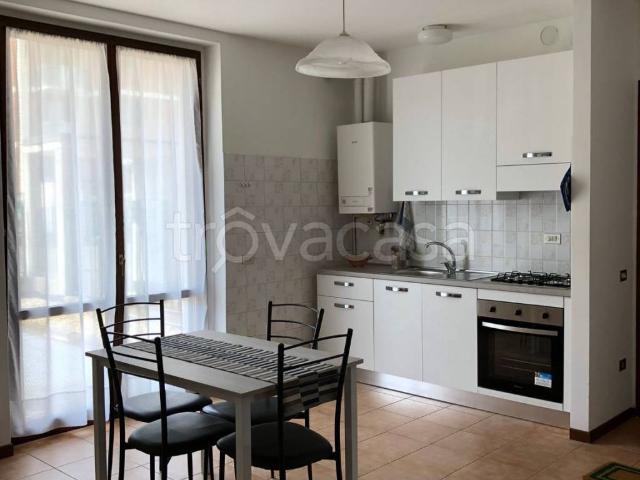Appartamento in in affitto da privato a Pavia via Luigi Marangoni, 3, arredato, da privato, cantina TrovaCasa