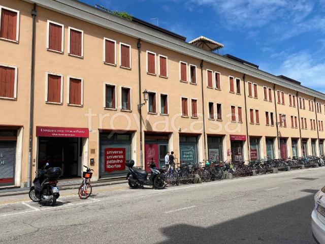 Appartamento in in affitto da privato a Padova via del Portello, 15, da privato TrovaCasa
