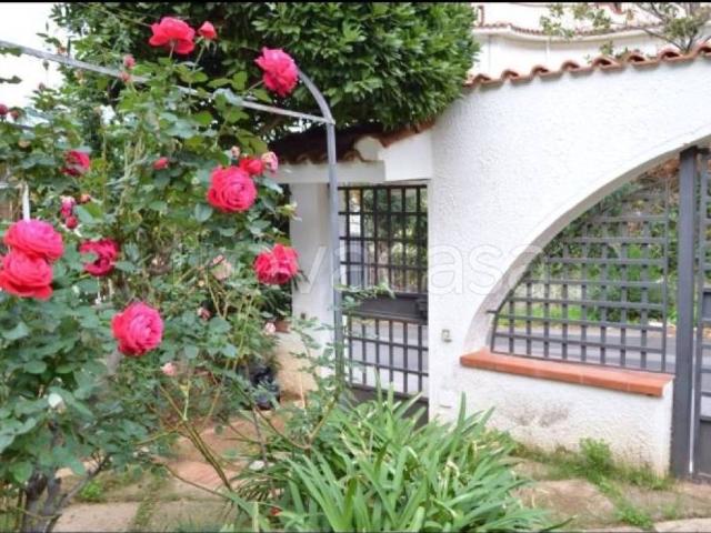 Appartamento in in affitto da privato a Palermo via Agostino Barbarigo, 11, giardino, terrazzo, da privato TrovaCasa