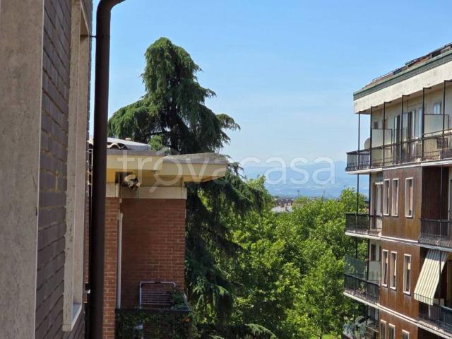 Appartamento in in affitto da privato a Piacenza via delle Teresiane, 10, da privato, ascensore, ristrutturato TrovaCasa