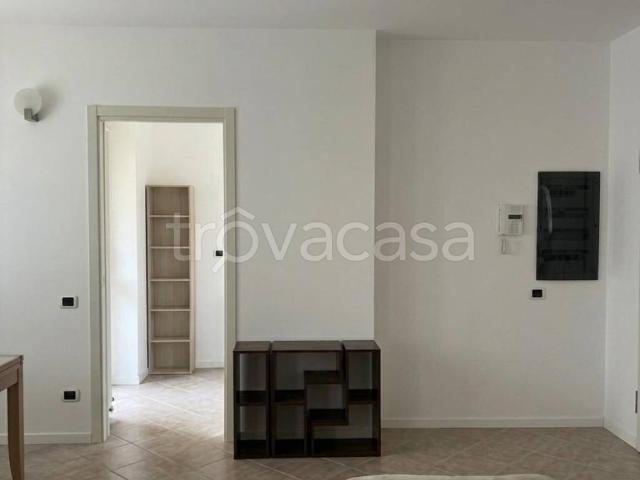 Appartamento in in affitto da privato a Pioltello via Norberto Bobbio, 9, arredato, giardino, da privato TrovaCasa