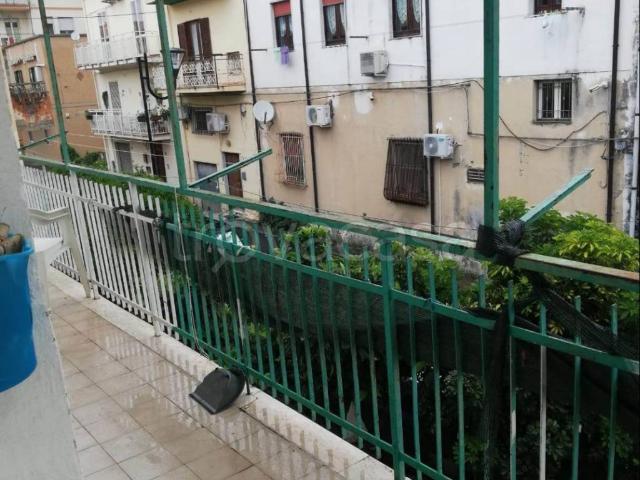 Appartamento in in affitto da privato a Praia a Mare via Piave, arredato, giardino, da privato TrovaCasa
