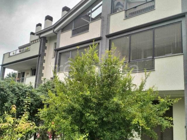 Appartamento in in affitto da privato a Rozzano via Aspromonte, 45, giardino, da privato TrovaCasa