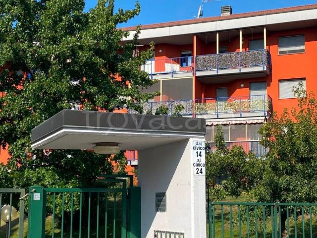 Appartamento in in affitto da privato a Rozzano via Solidarietà, 16, box, da privato, riscaldamento autonomo TrovaCasa