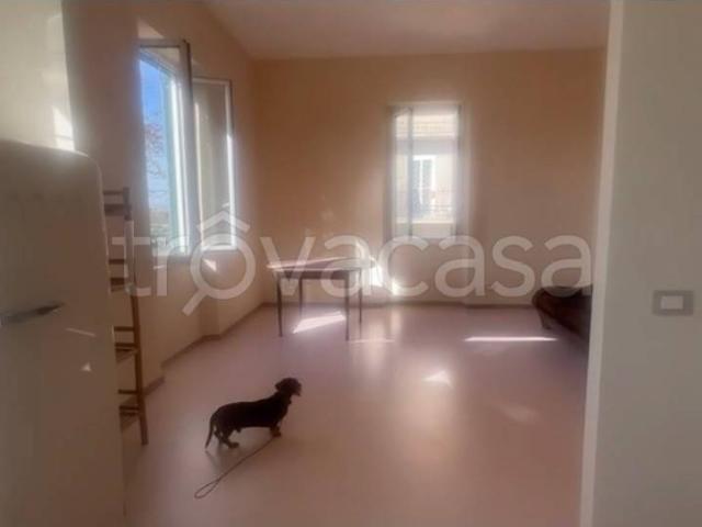 Appartamento in in affitto da privato a Roma via Galeazzo Alessi, 69, giardino, terrazzo, da privato TrovaCasa