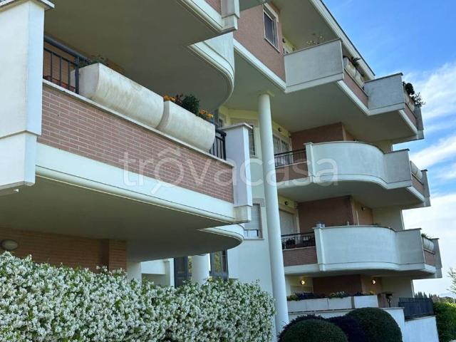 Appartamento in in affitto da privato a Roma via Giuseppe Silla, giardino, da privato, vasca idromassaggio TrovaCasa