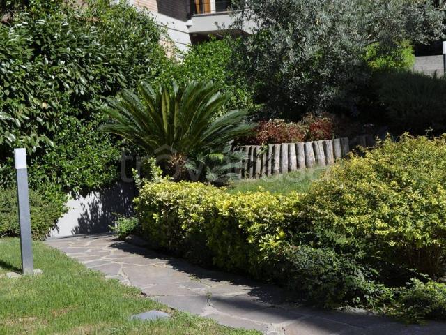 Appartamento in in affitto da privato a Roma via della Camilluccia, arredato, giardino, da privato TrovaCasa