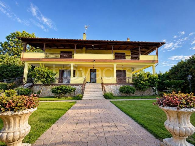 Appartamento in in affitto da privato a Roma via della Fontana Secca, 120, giardino, da privato, vista panoramica TrovaCasa